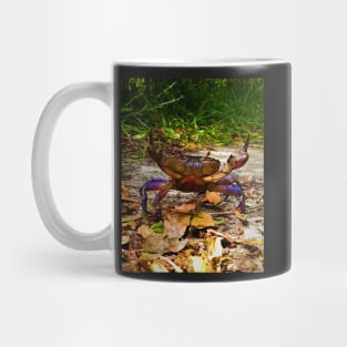 Colorful Crab 1 Mug